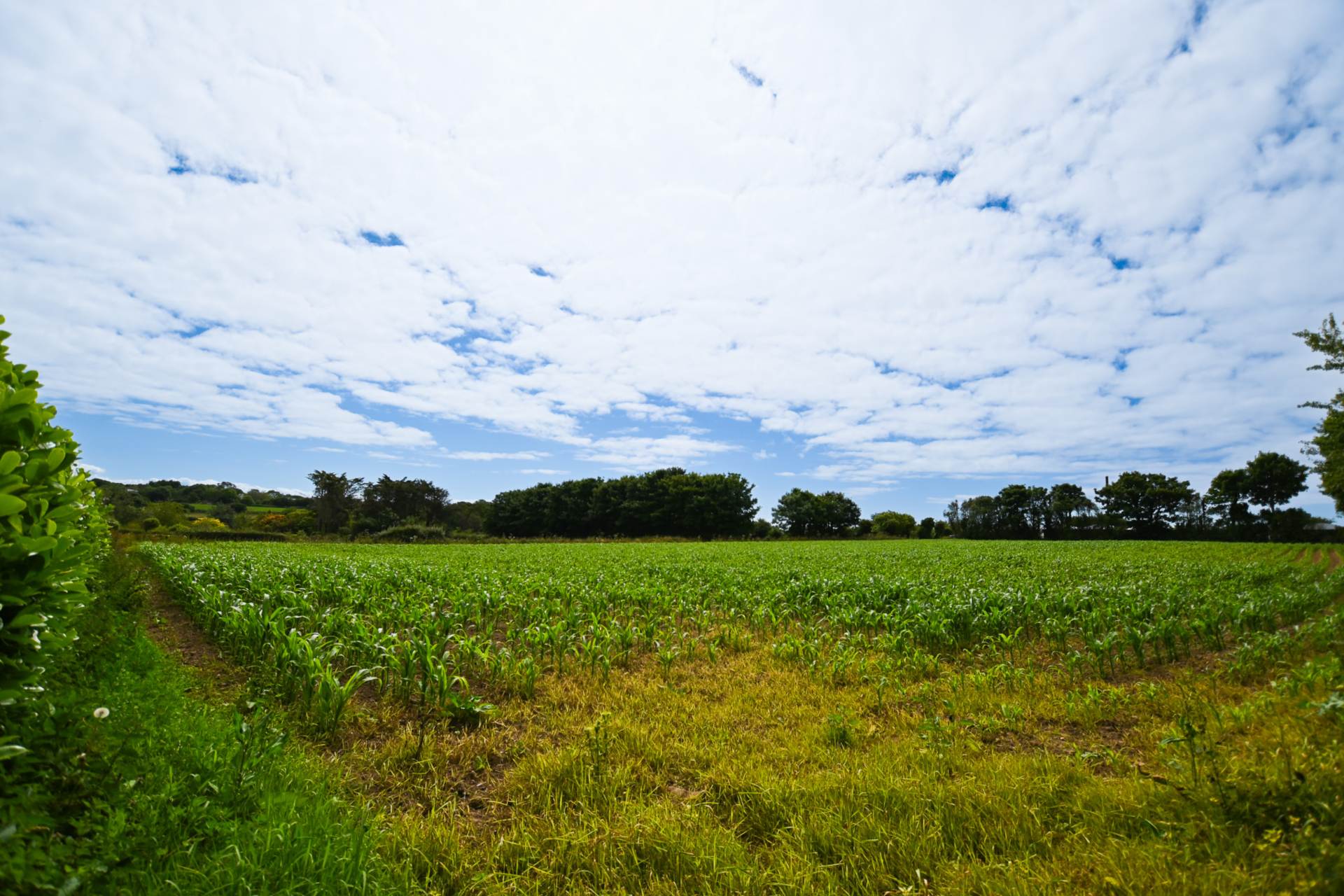 MORE THAN MEETS THE EYE A HOME THAT CATERS FOR ALL THE FAMILY, 2-3 GENERATION WITH LARGE FARMHOUSE, AND SO IT GOES ON, Image 7