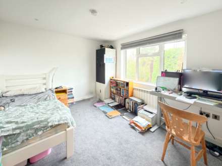 EASTERN DELIGHT More than meets the eye, Image 10