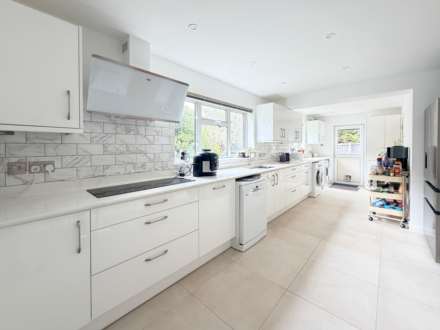 EASTERN DELIGHT More than meets the eye, Image 7