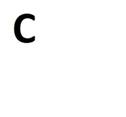 Becontree Ave, Dagenham, RM8 3hh, Image 3