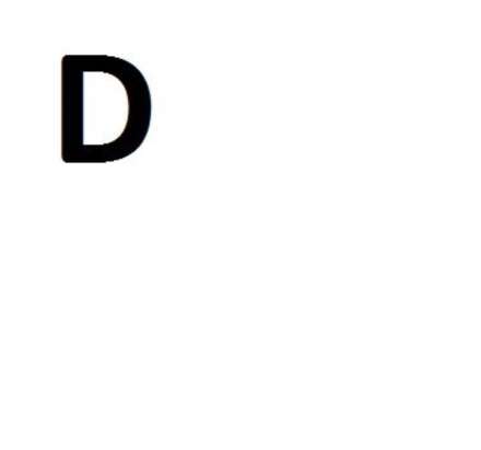 Becontree Ave, Dagenham, RM8 3hh, Image 4