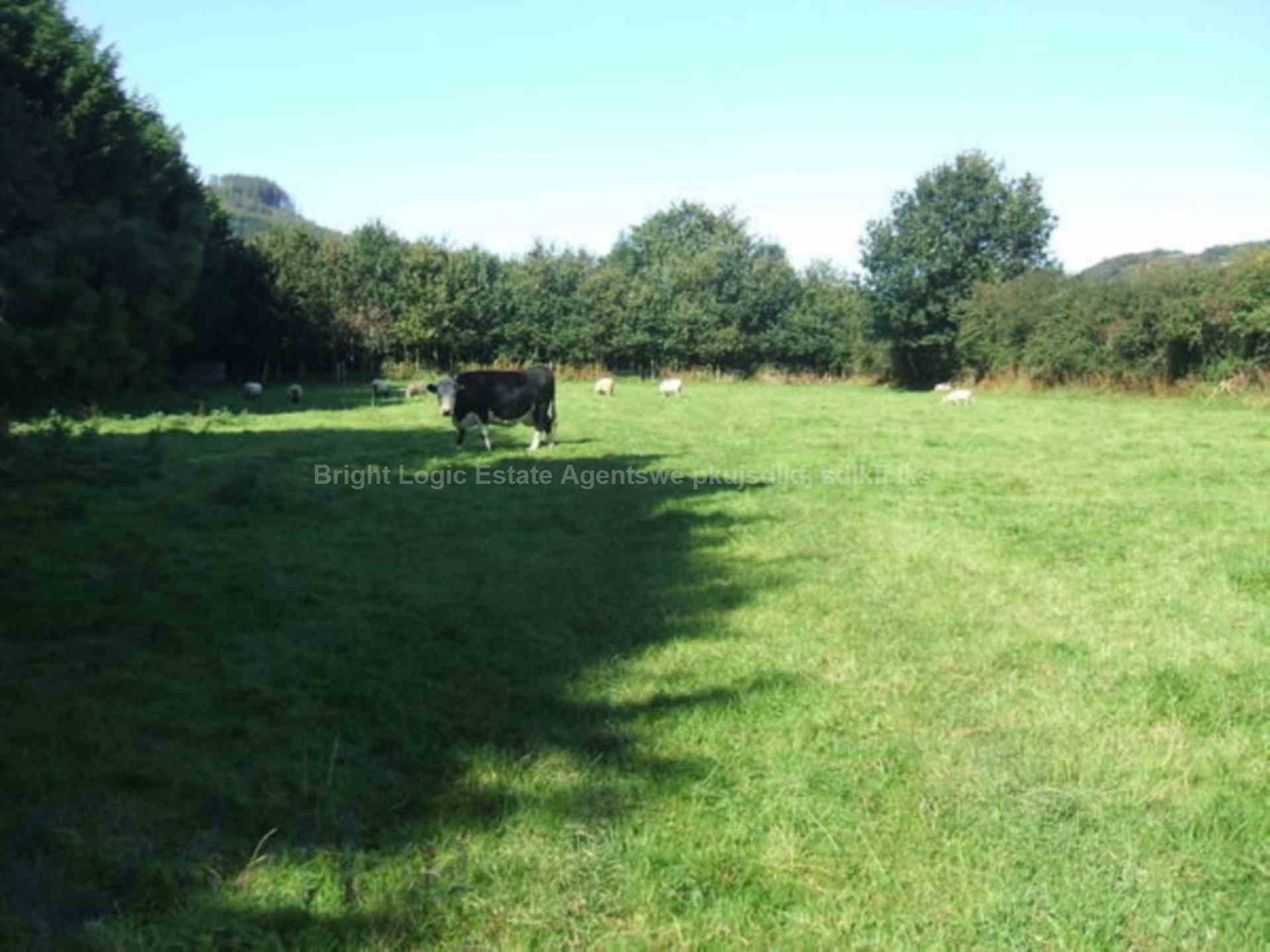 Brookmead Drive, Wallingford, OX10 9bn, England, Image 3