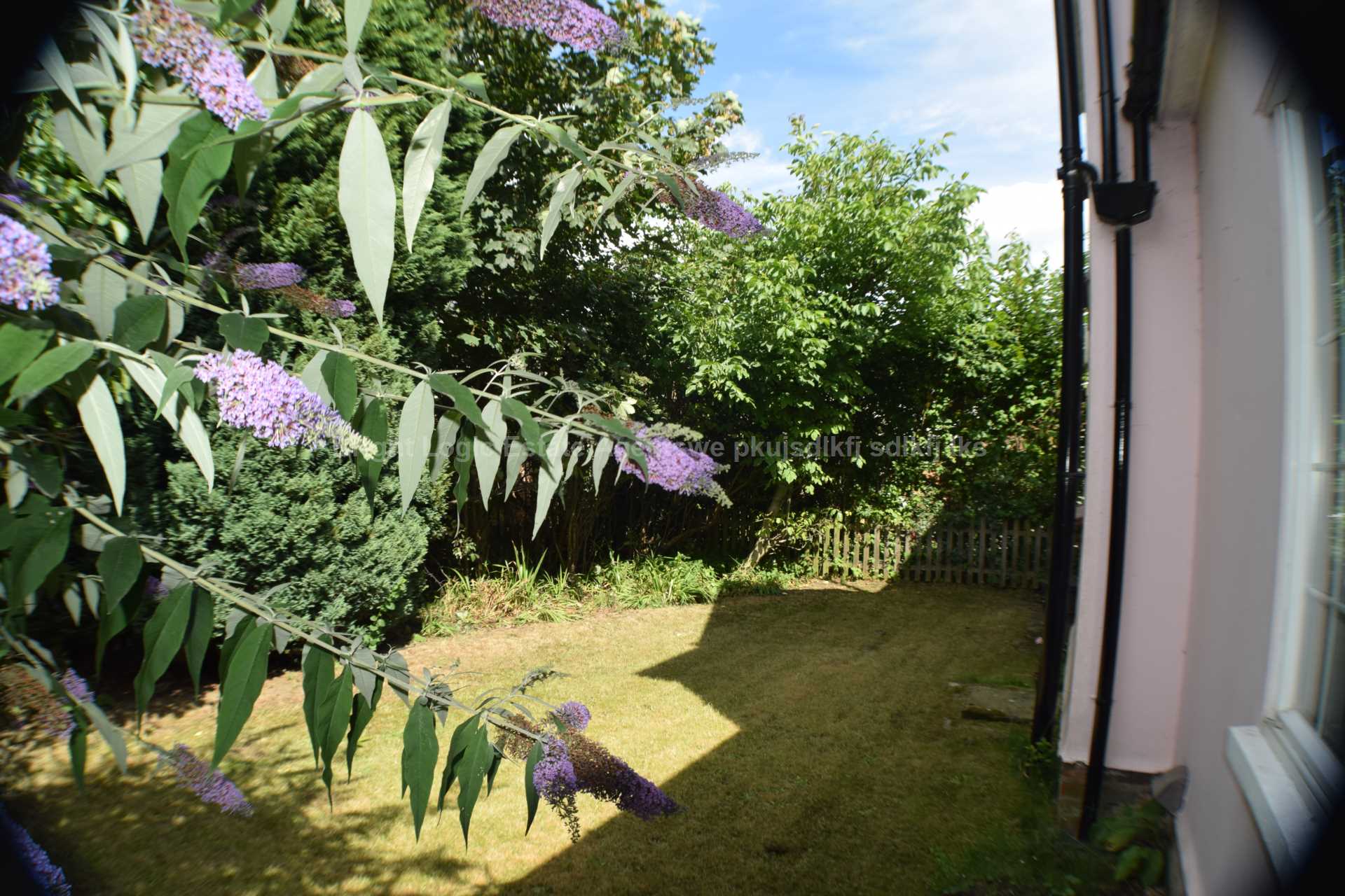 Lexden Road, Colchester, CO3 3PJ, Image 7