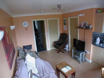 Clear Springs Chalet Park, Low Road, CO12 3TS, Image 4