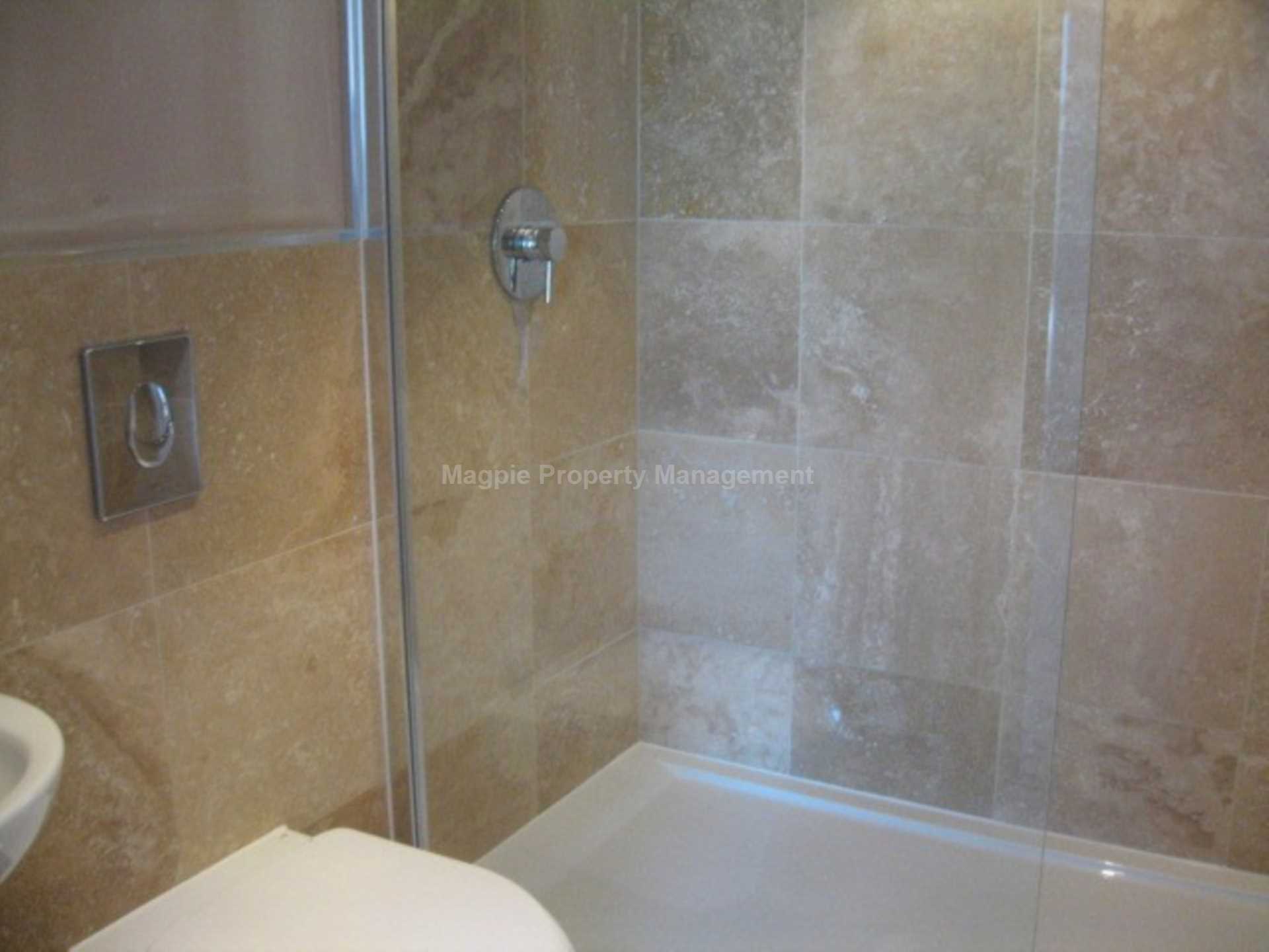 St Neots, Image 6