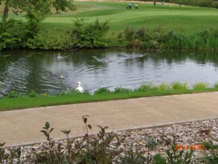 Little Paxton, Image 11