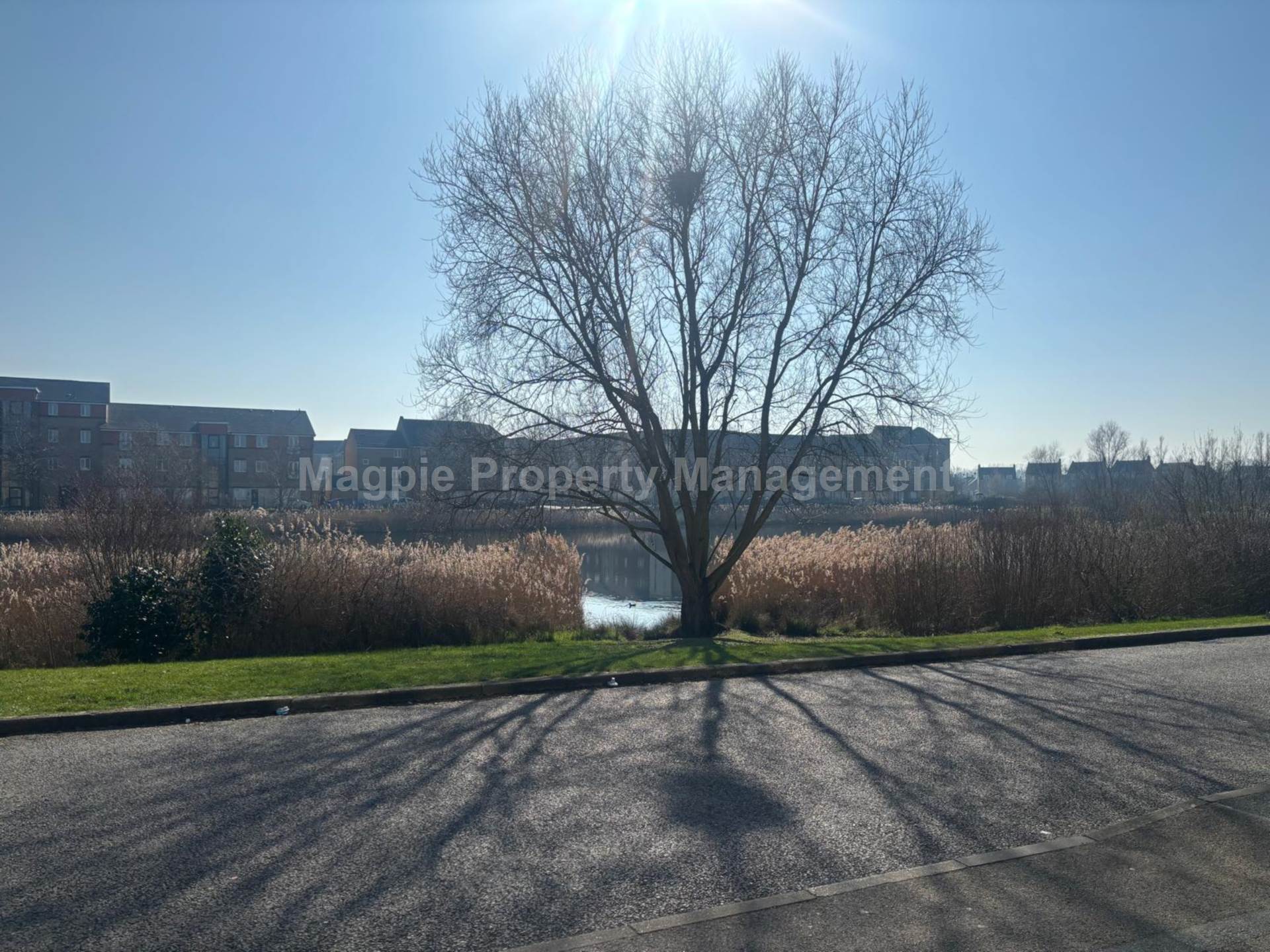 Hampton Hargate, Image 14