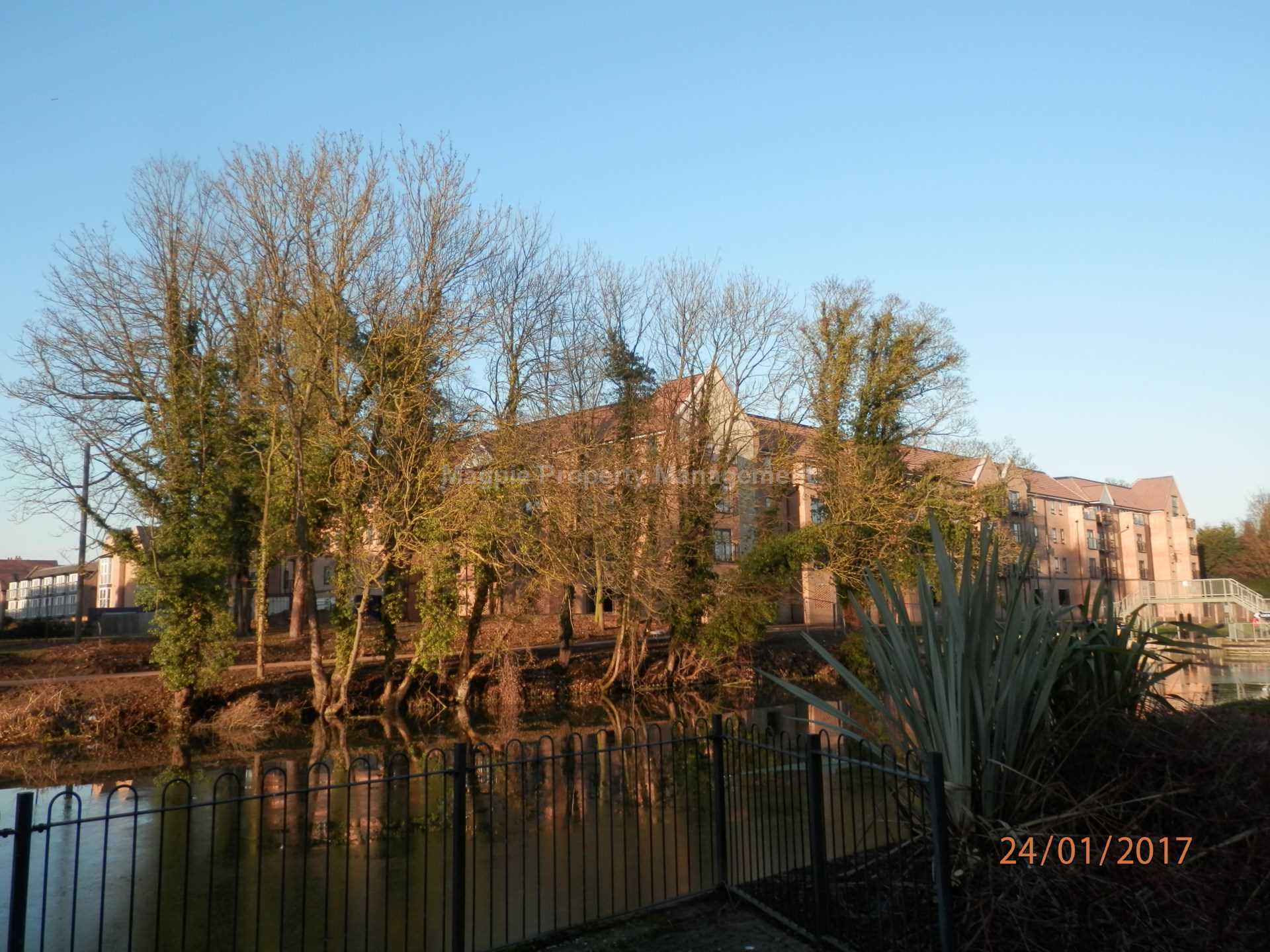 Little Paxton, Image 11