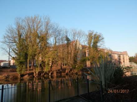 Little Paxton, Image 9