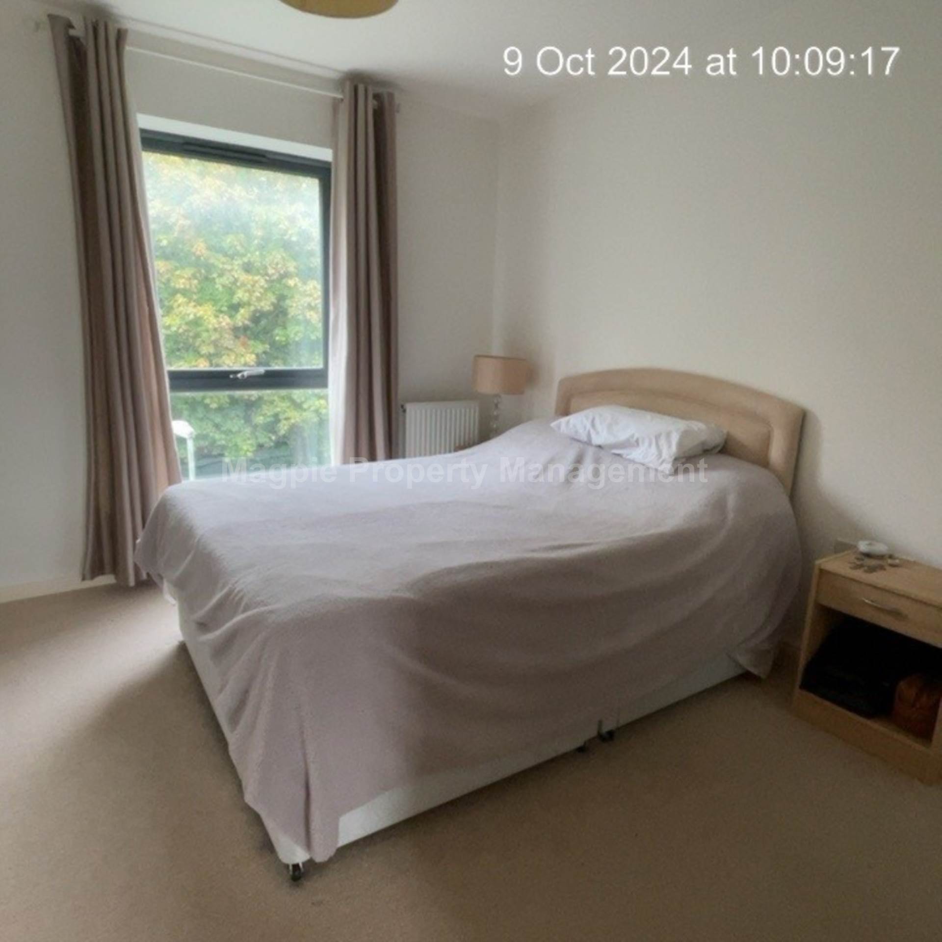 Cambridge, Image 6