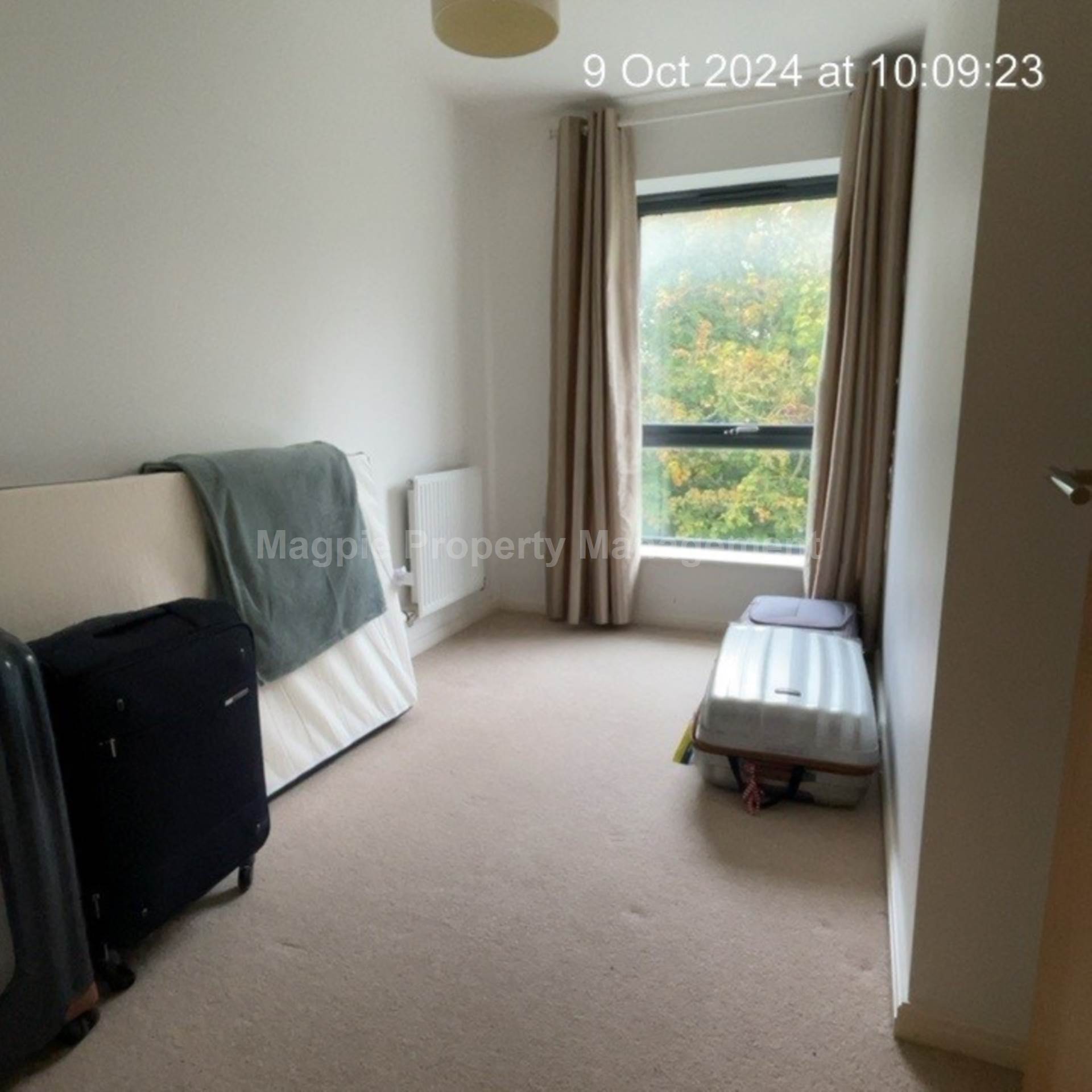 Cambridge, Image 7
