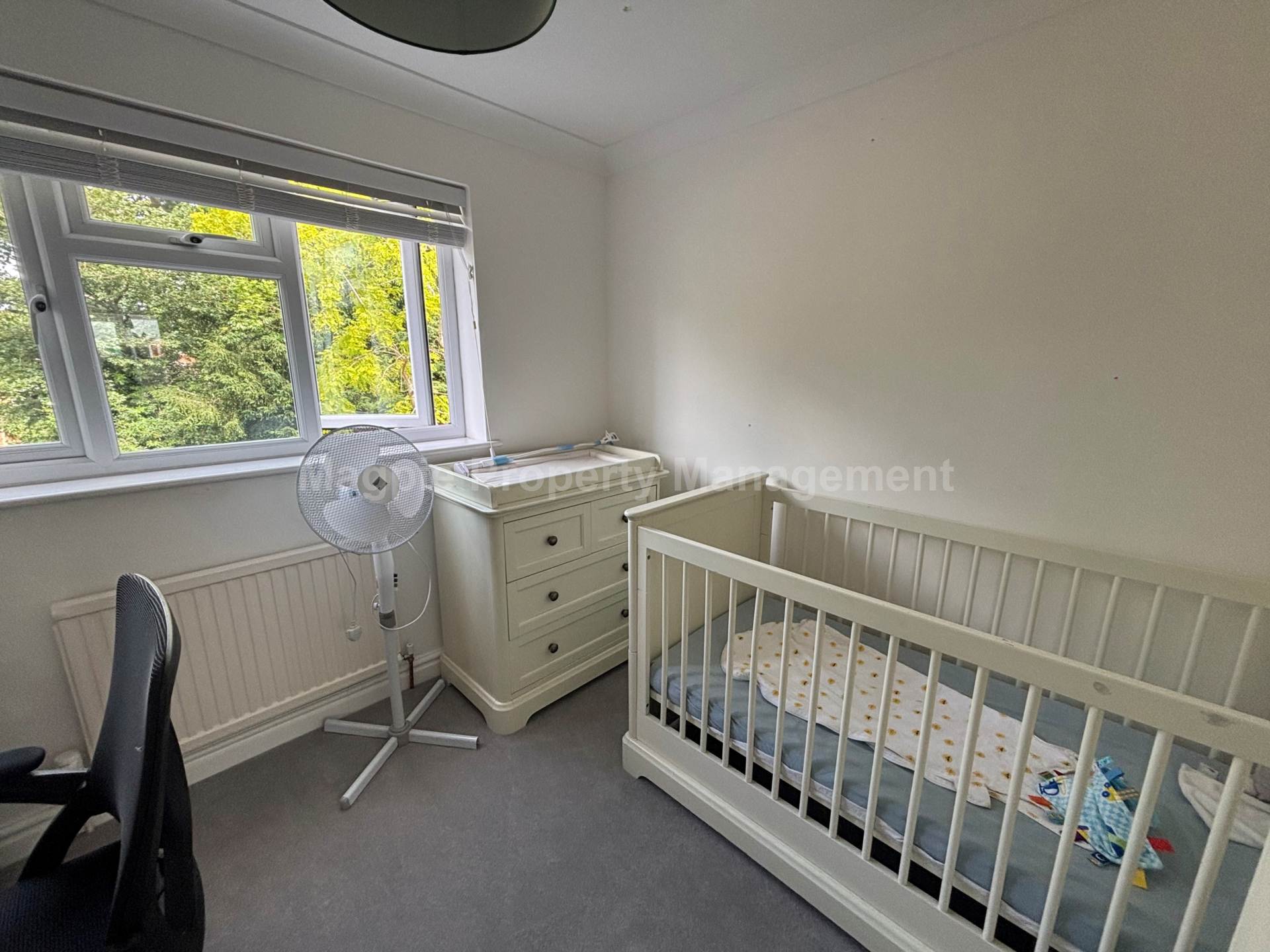 St Neots, Image 16