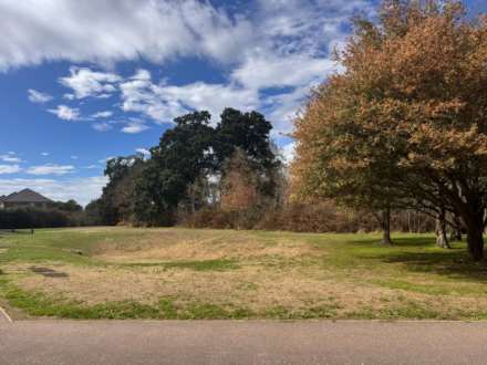 Tortoiseshell Walk, St Neots, Image 12