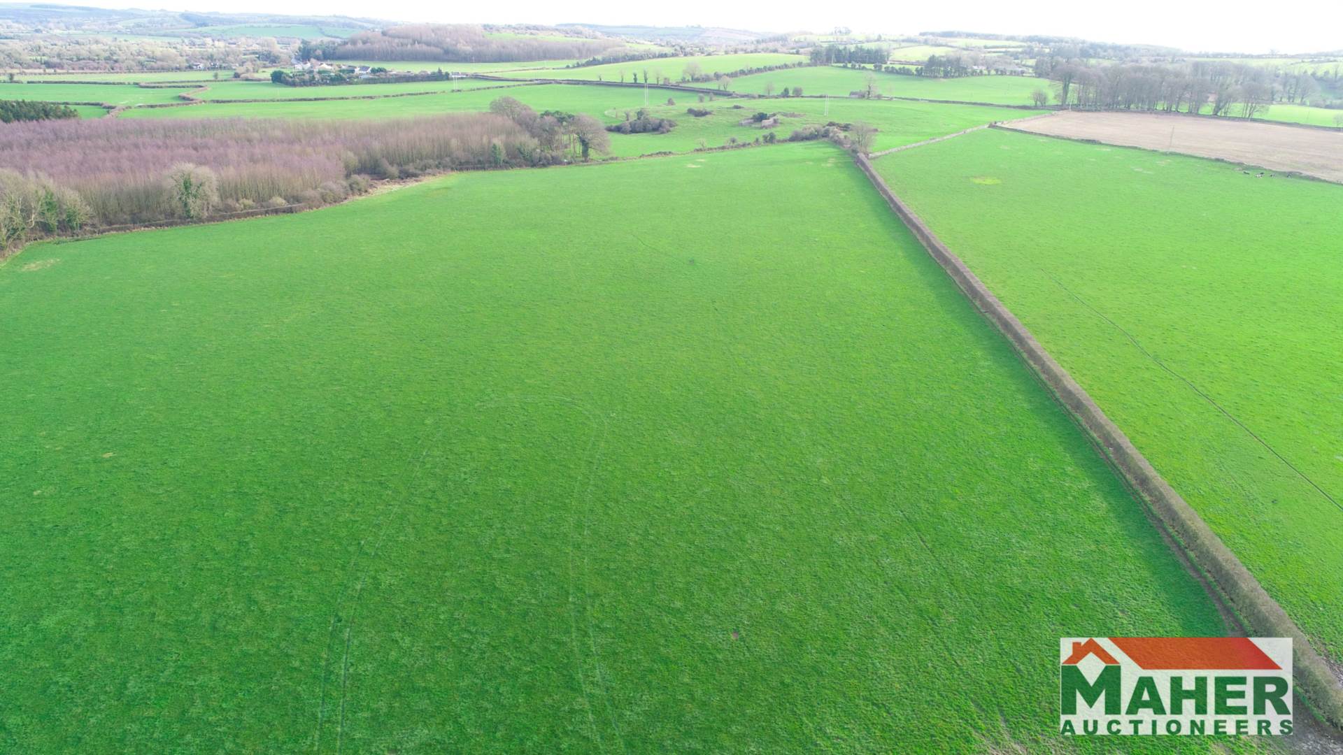 52 Acres Ballinure