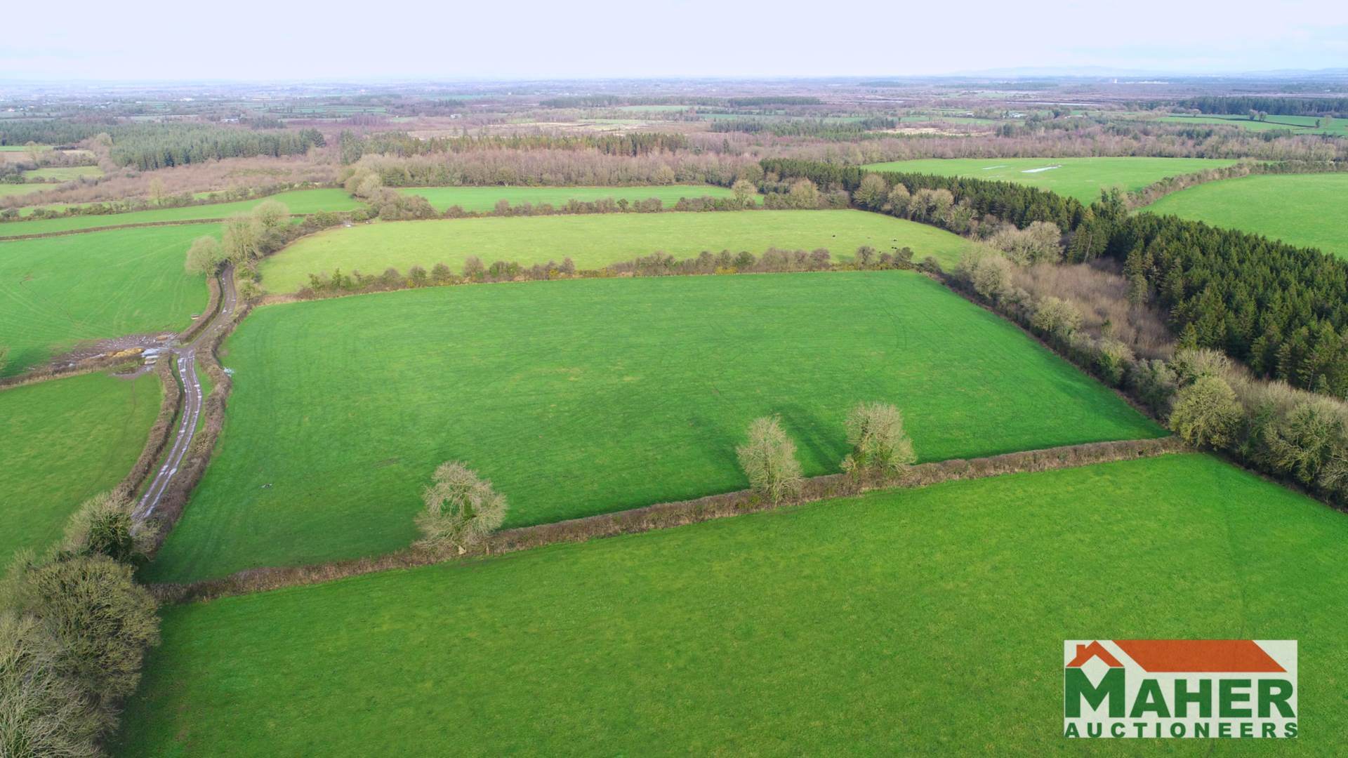 8.6 Acres Ballinure, Thurles