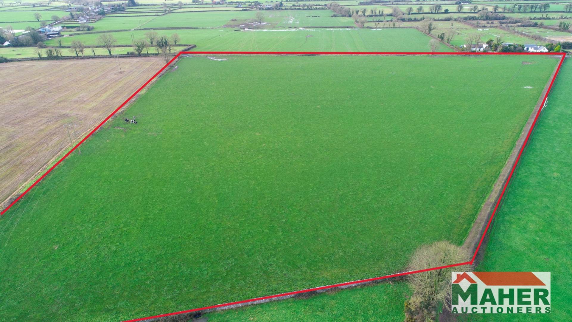 16.8 Acres Ballinure, Thurles