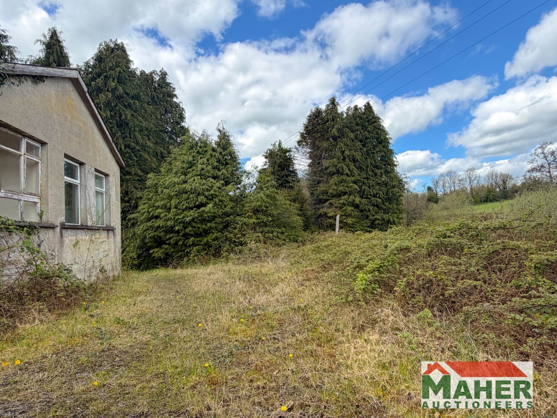 Tinock,Ballingarry E41 T329