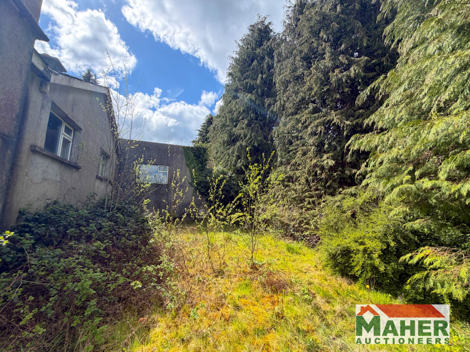 Tinock,Ballingarry E41 T329