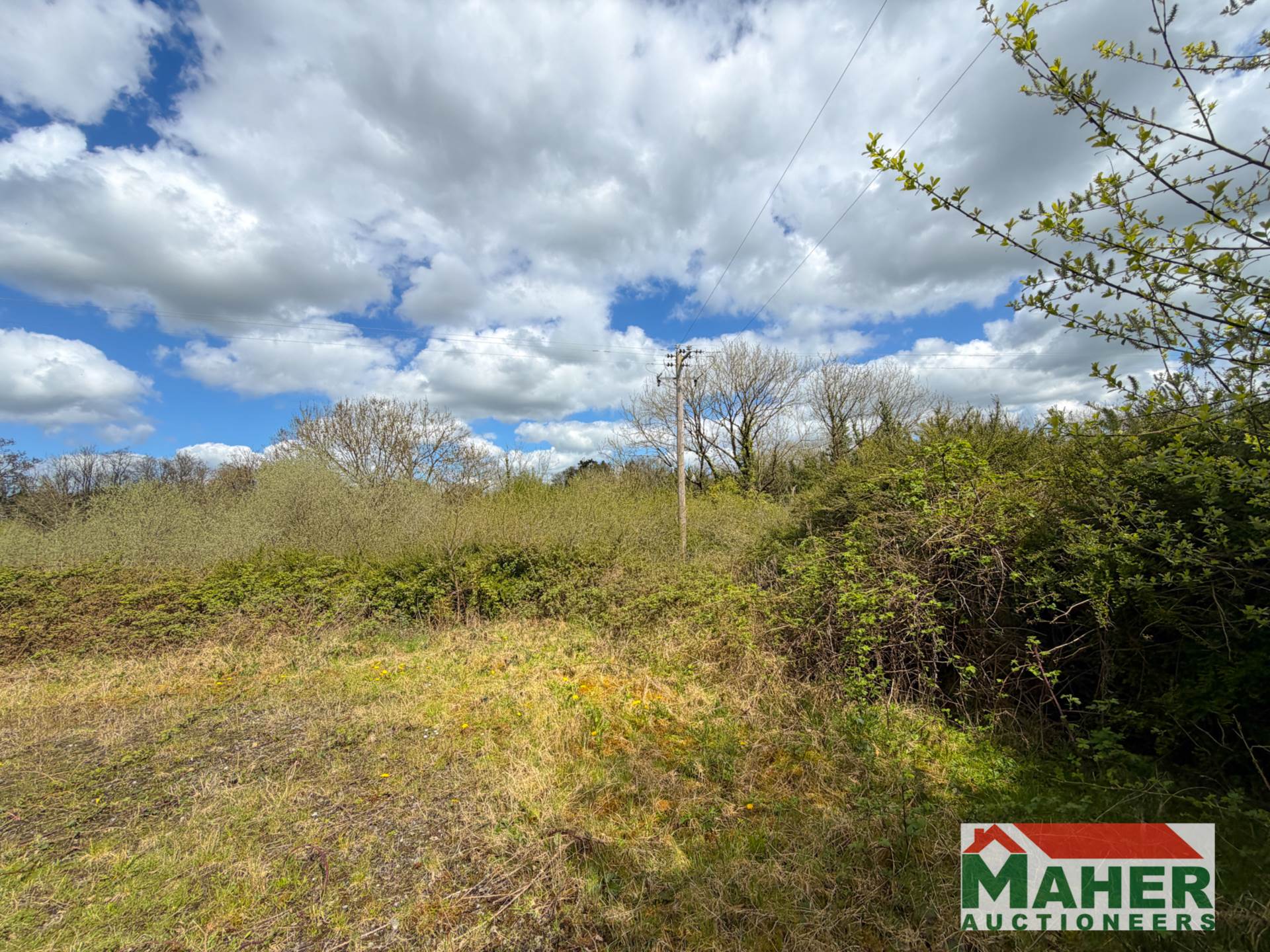 Tinock,Ballingarry E41 T329