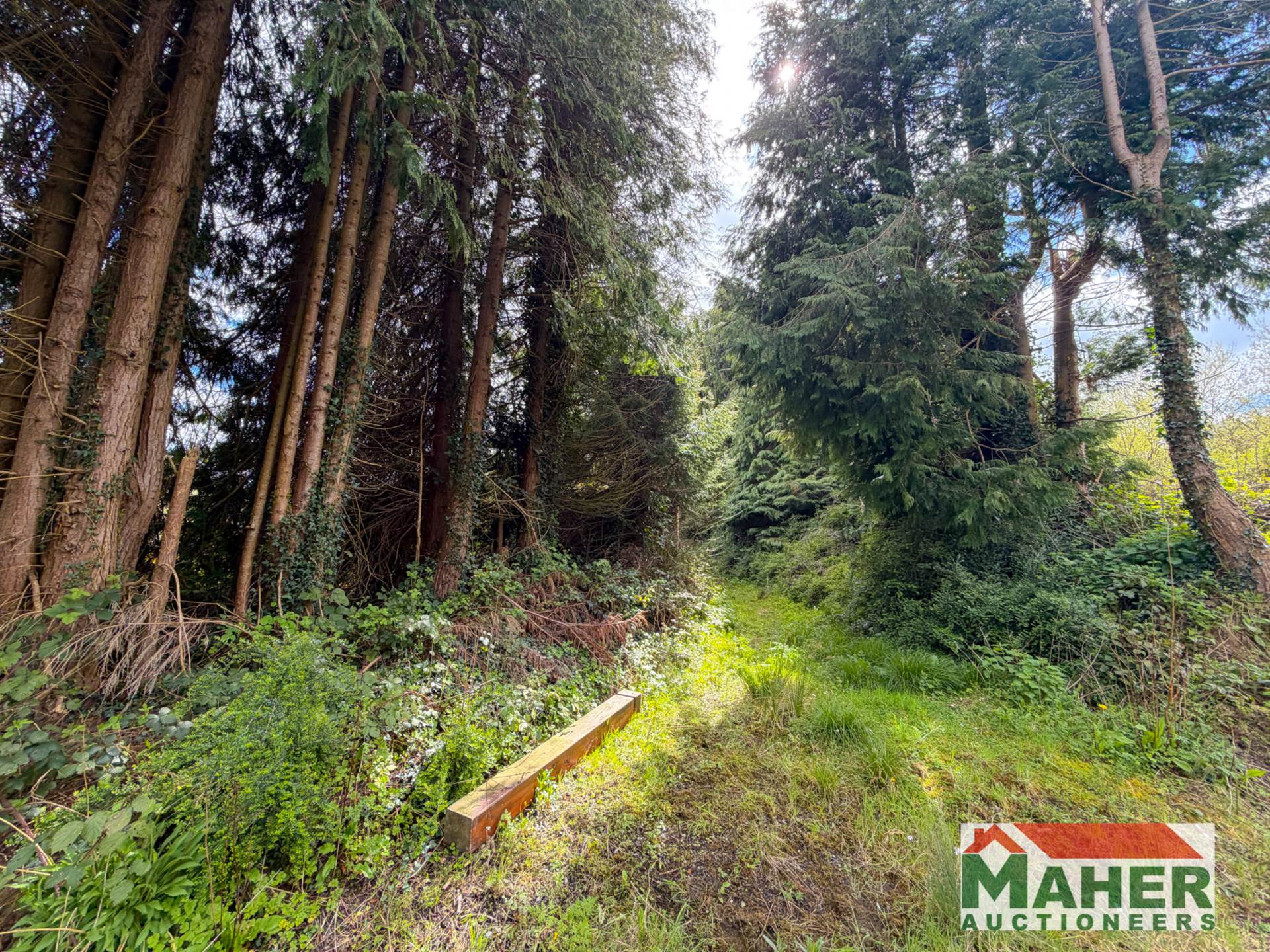 Tinock,Ballingarry E41 T329