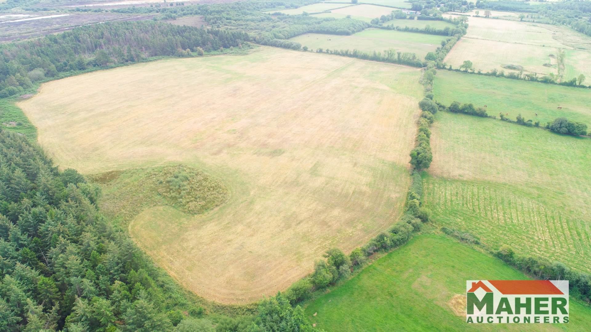 58.5acres, Lurgoe, Cashel, Co. Tipperary 58.5acres, Lurgoe, Cashel, Co. Tipperary
