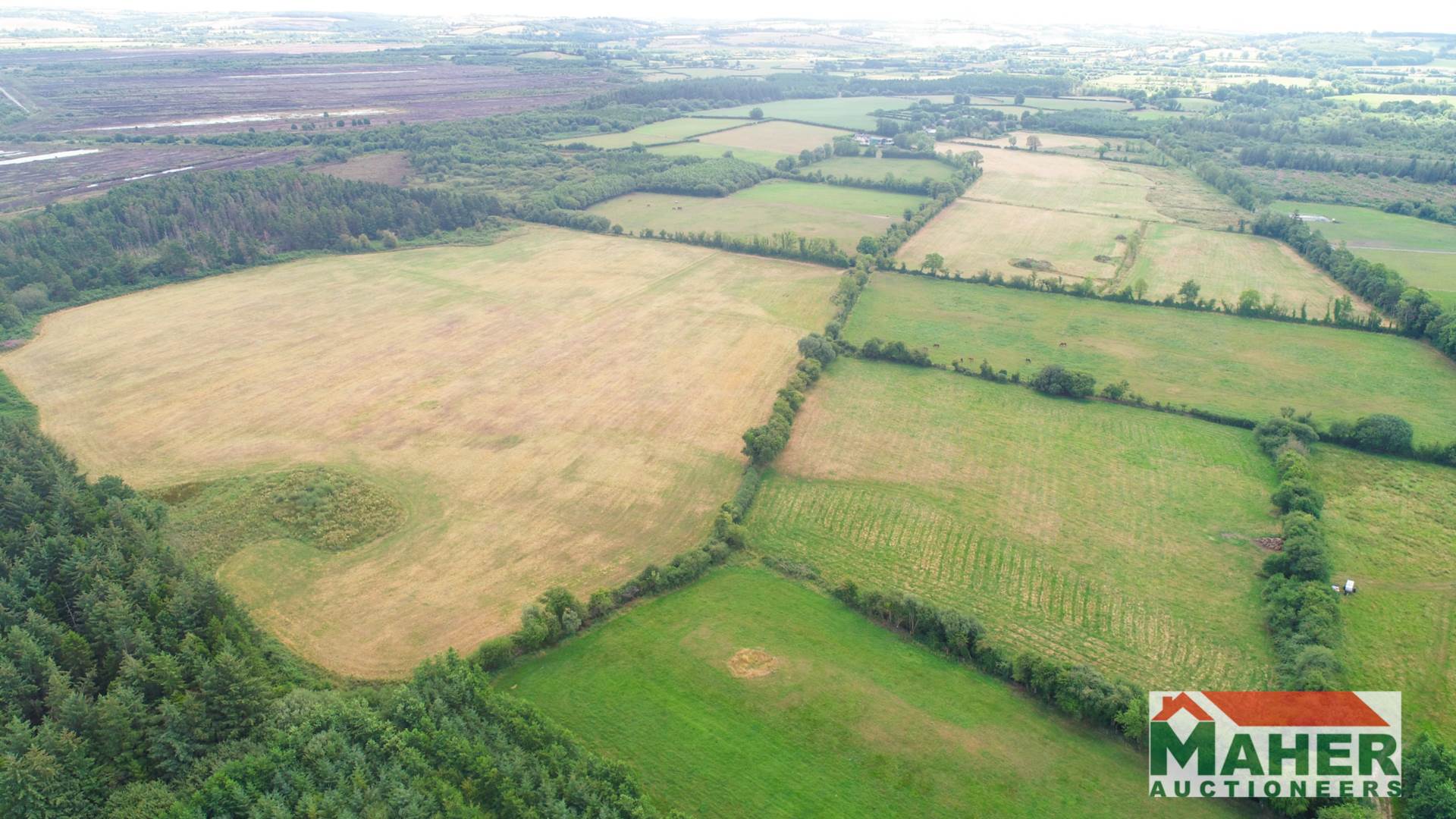 58.5acres, Lurgoe, Cashel, Co. Tipperary 58.5acres, Lurgoe, Cashel, Co. Tipperary