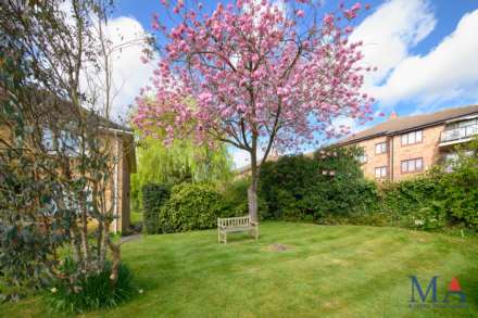 Fir Tree Court, Allum Lane, Image 15