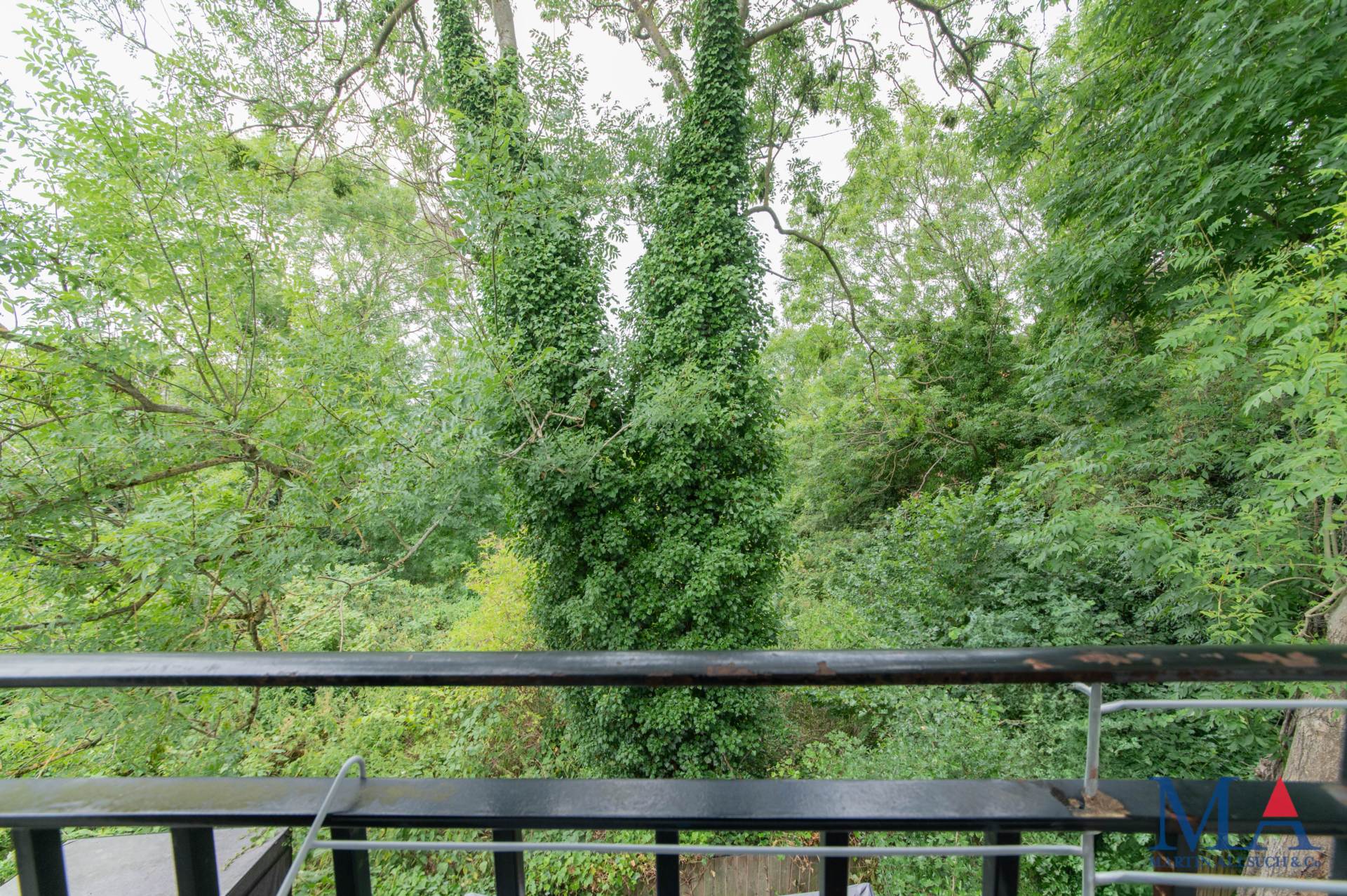 Romeland, Elstree, Image 15