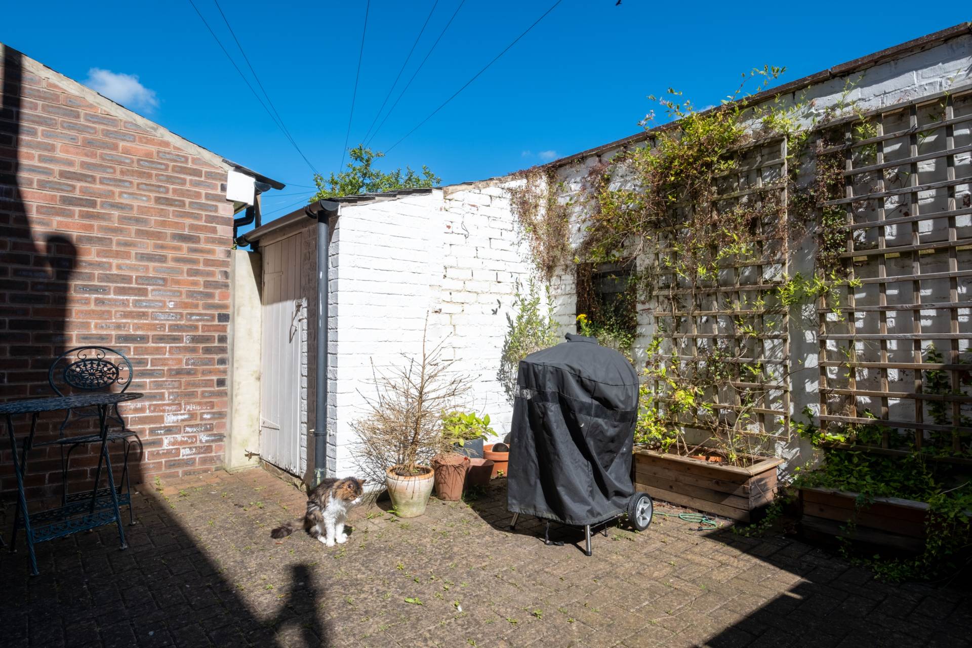 Windsor Terrace, Corbridge, Image 11