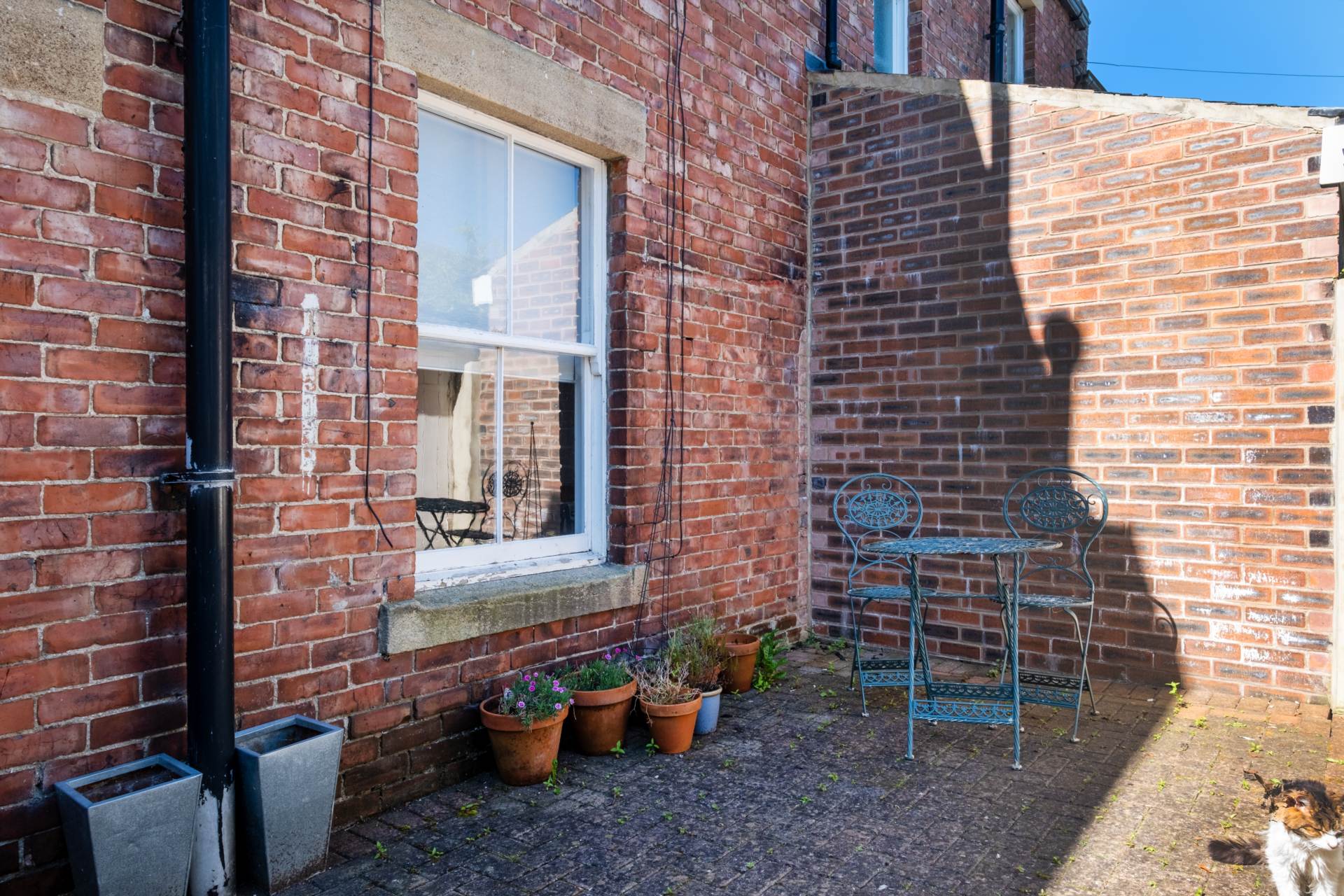 Windsor Terrace, Corbridge, Image 12