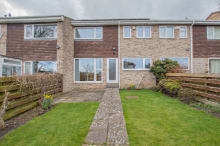 Dene Road, Wylam, Image 1