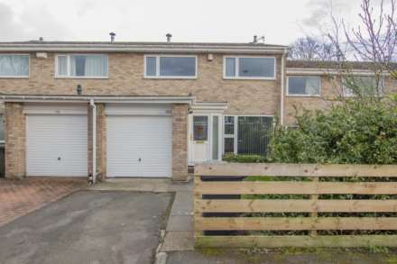 Dene Road, Wylam, Image 13