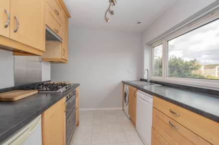 Dene Road, Wylam, Image 6