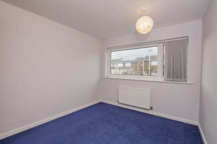 Dene Road, Wylam, Image 8