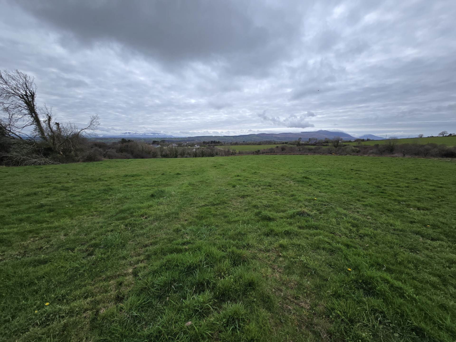 Kielbawn, Ballymacelligott Kielbawn, Ballymacelligott