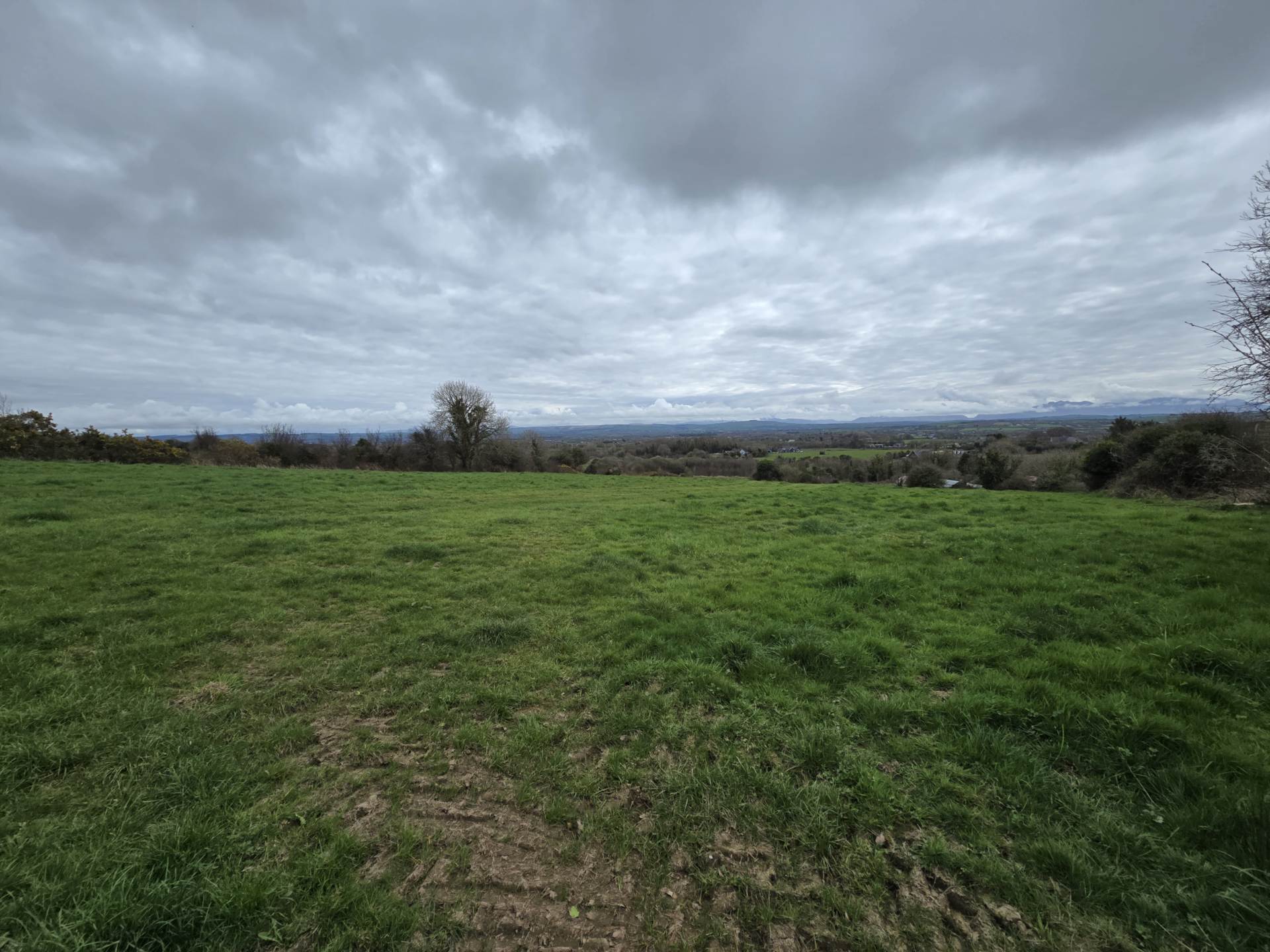 Kielbawn, Ballymacelligott Kielbawn, Ballymacelligott
