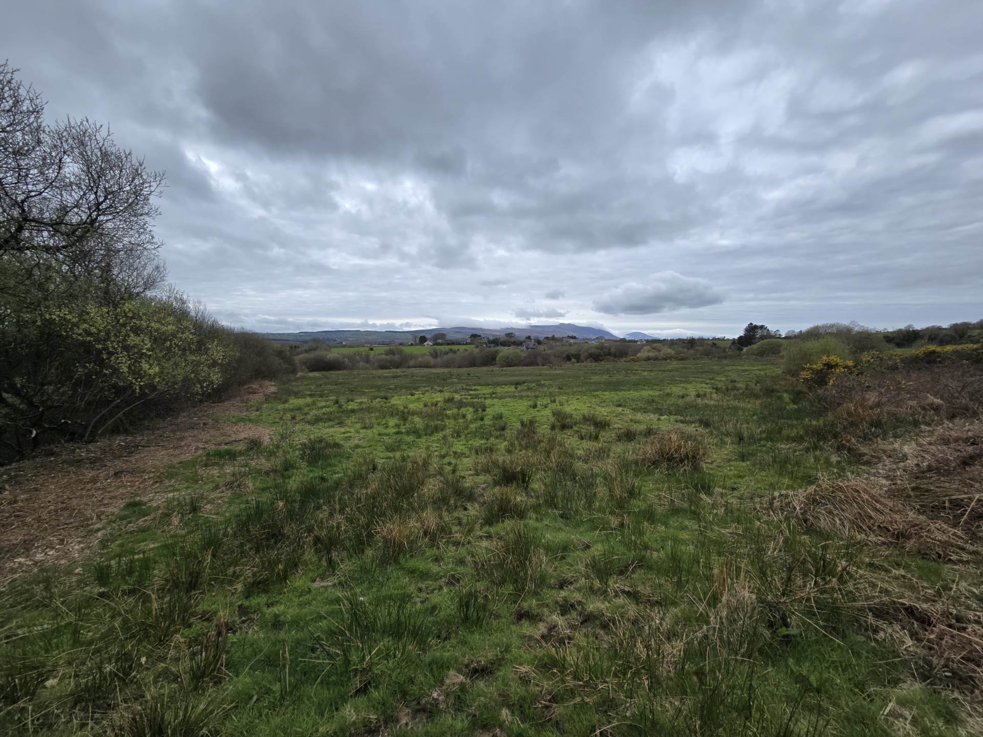 Kielbawn, Ballymacelligott Kielbawn, Ballymacelligott