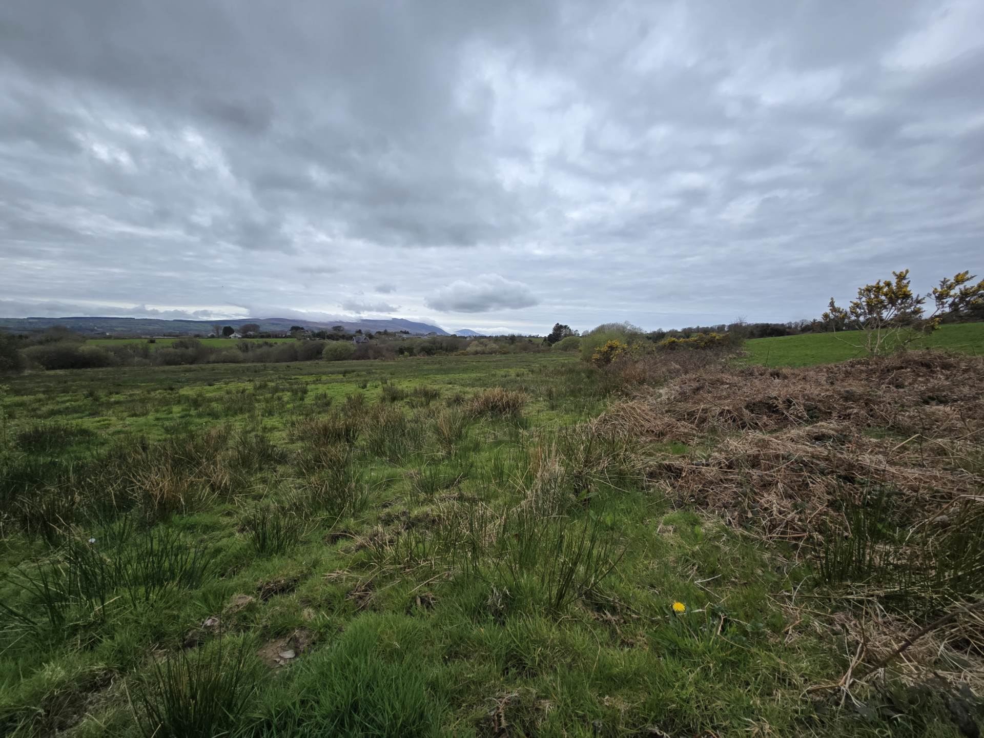 Kielbawn, Ballymacelligott Kielbawn, Ballymacelligott