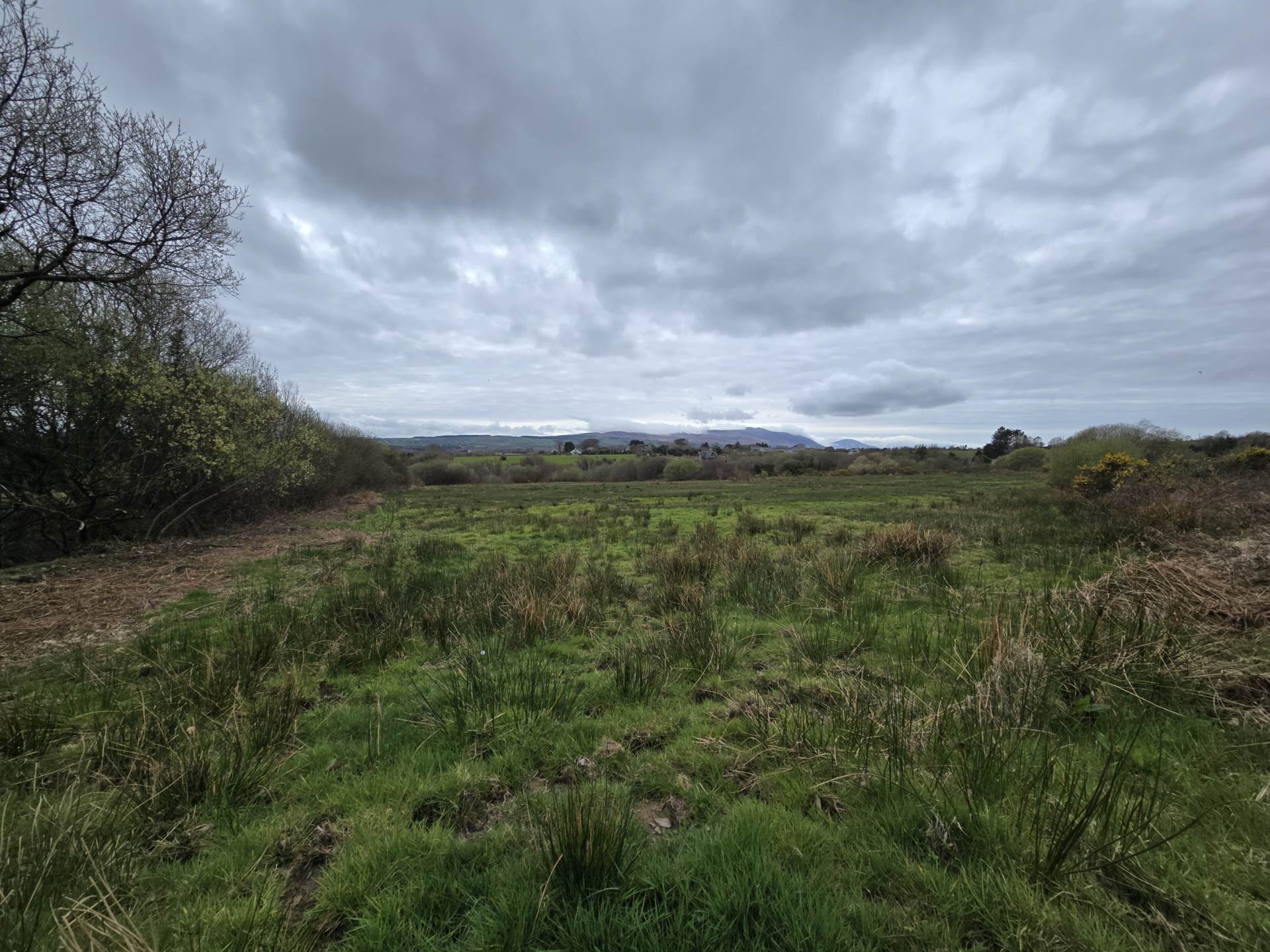Kielbawn, Ballymacelligott Kielbawn, Ballymacelligott