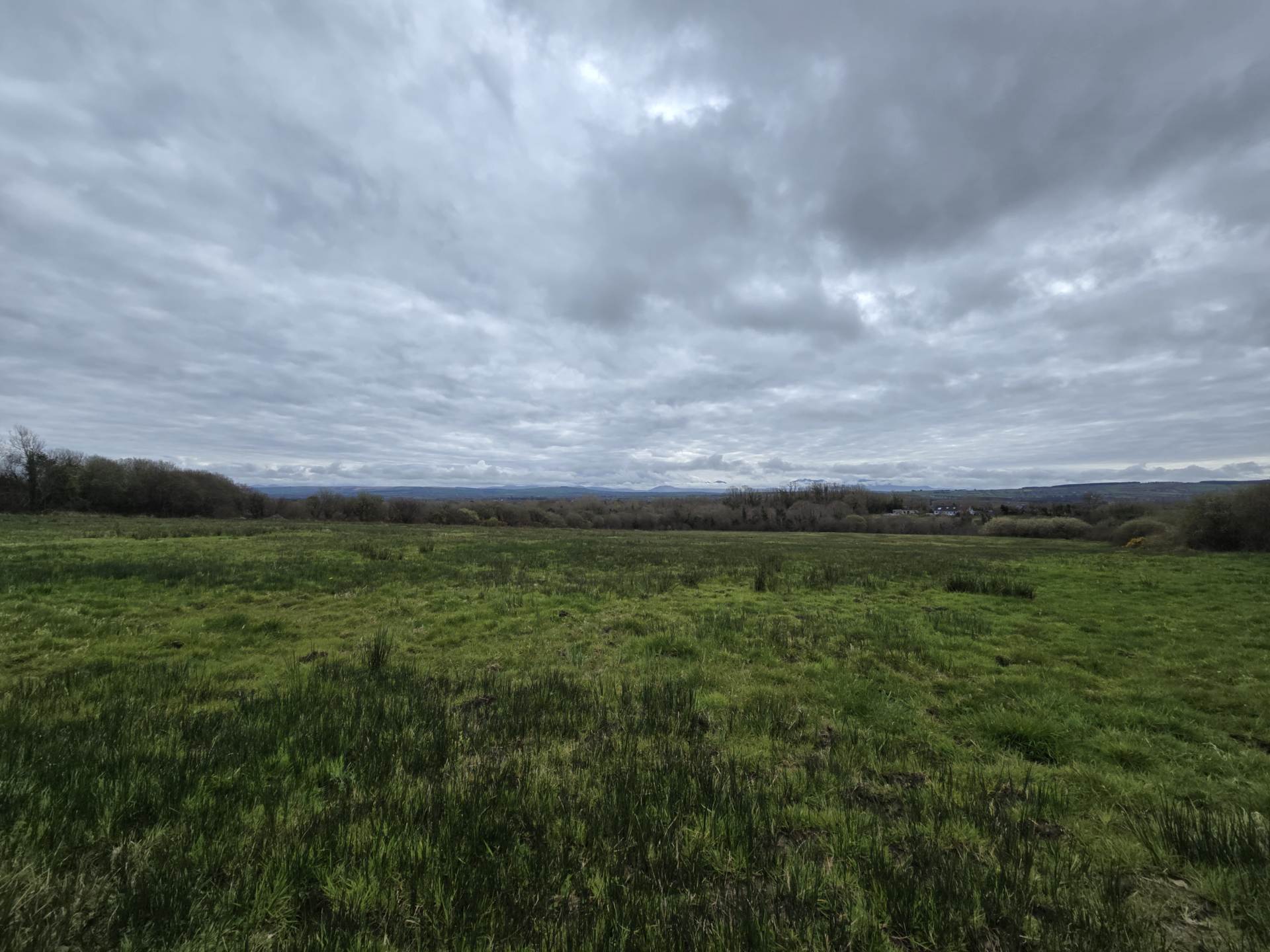Kielbawn, Ballymacelligott Kielbawn, Ballymacelligott