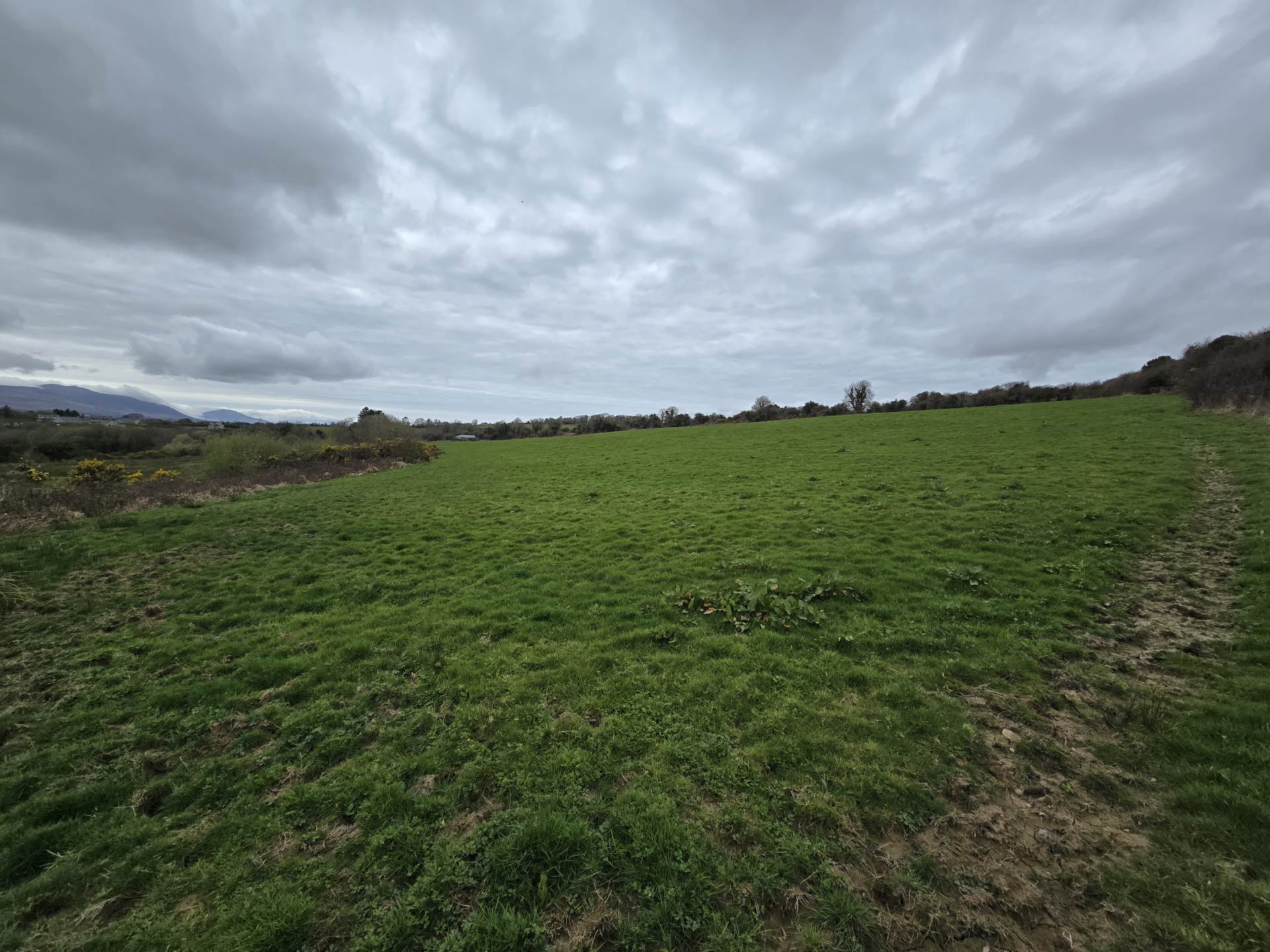 Kielbawn, Ballymacelligott Kielbawn, Ballymacelligott