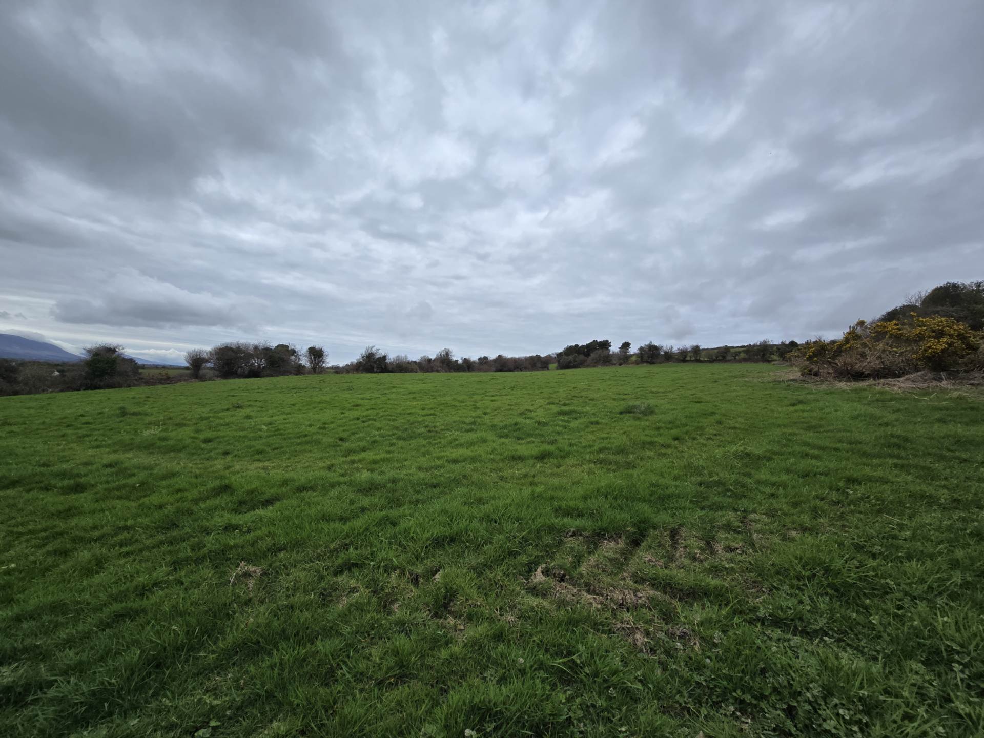 Kielbawn, Ballymacelligott Kielbawn, Ballymacelligott