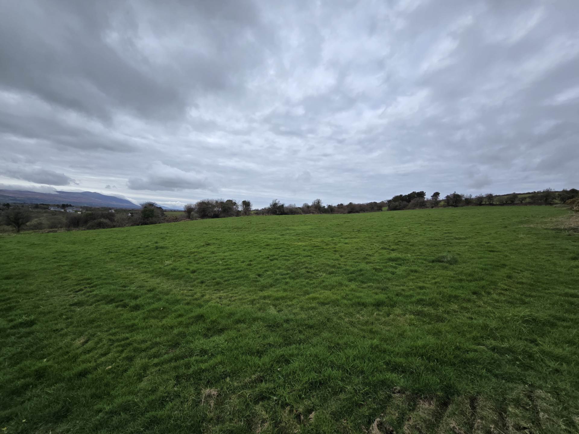 Kielbawn, Ballymacelligott Kielbawn, Ballymacelligott