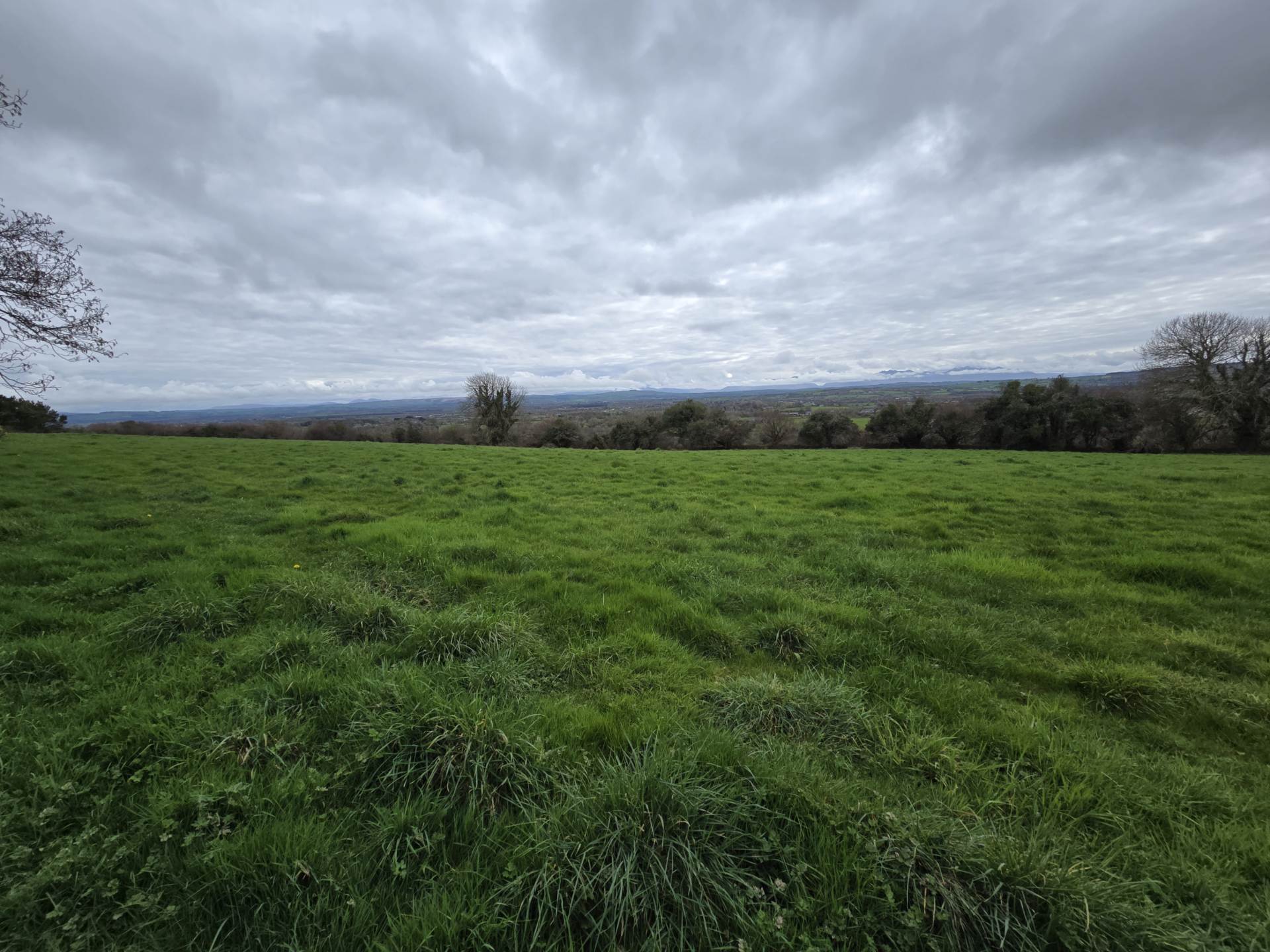 Kielbawn, Ballymacelligott Kielbawn, Ballymacelligott