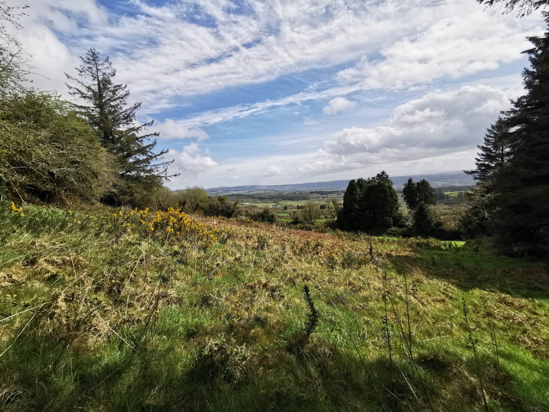 Tullagubbeen, Castleisland, Co. Kerry Tullagubbeen, Castleisland, Co. Kerry
