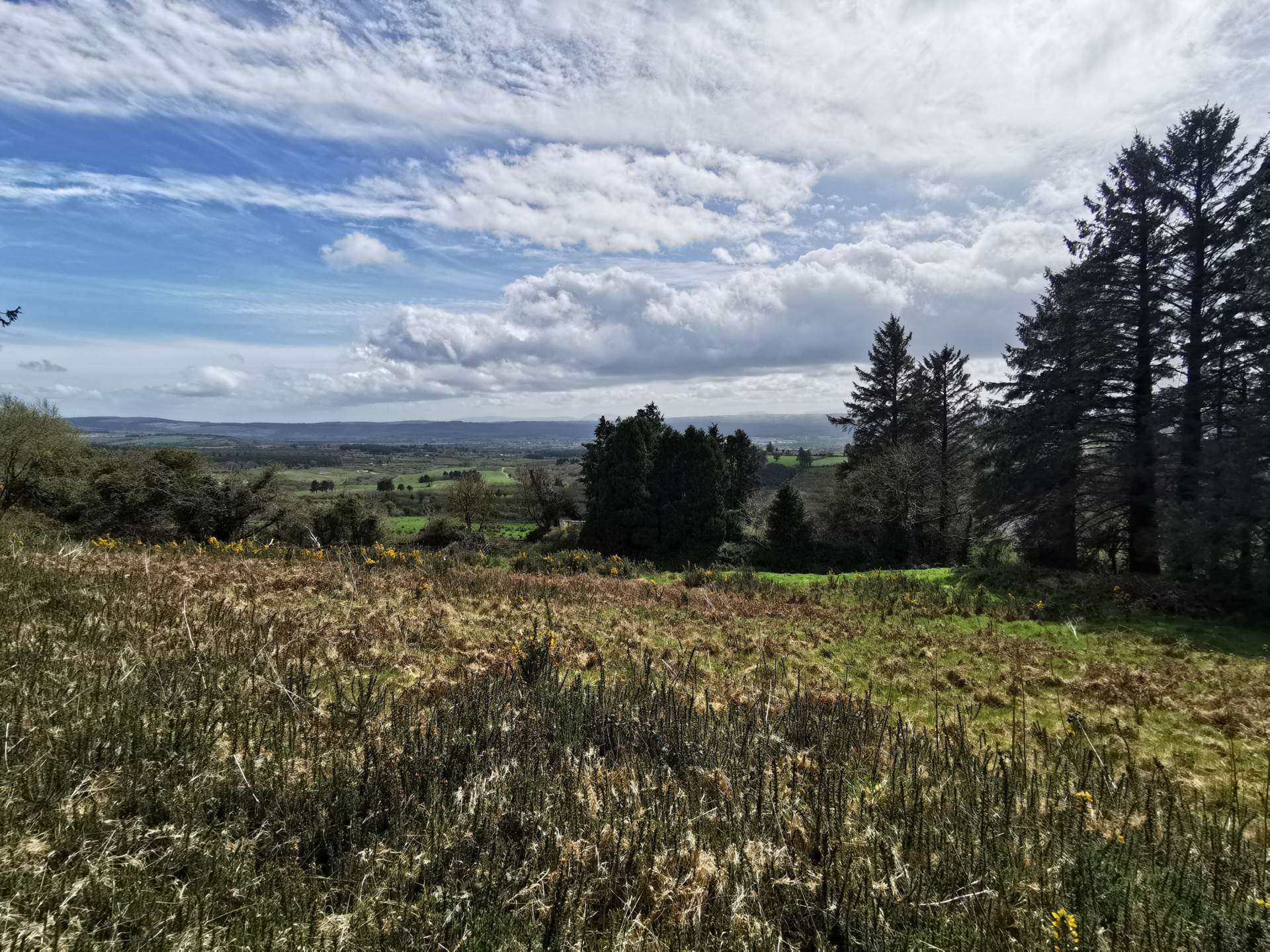 Tullagubbeen, Castleisland, Co. Kerry Tullagubbeen, Castleisland, Co. Kerry