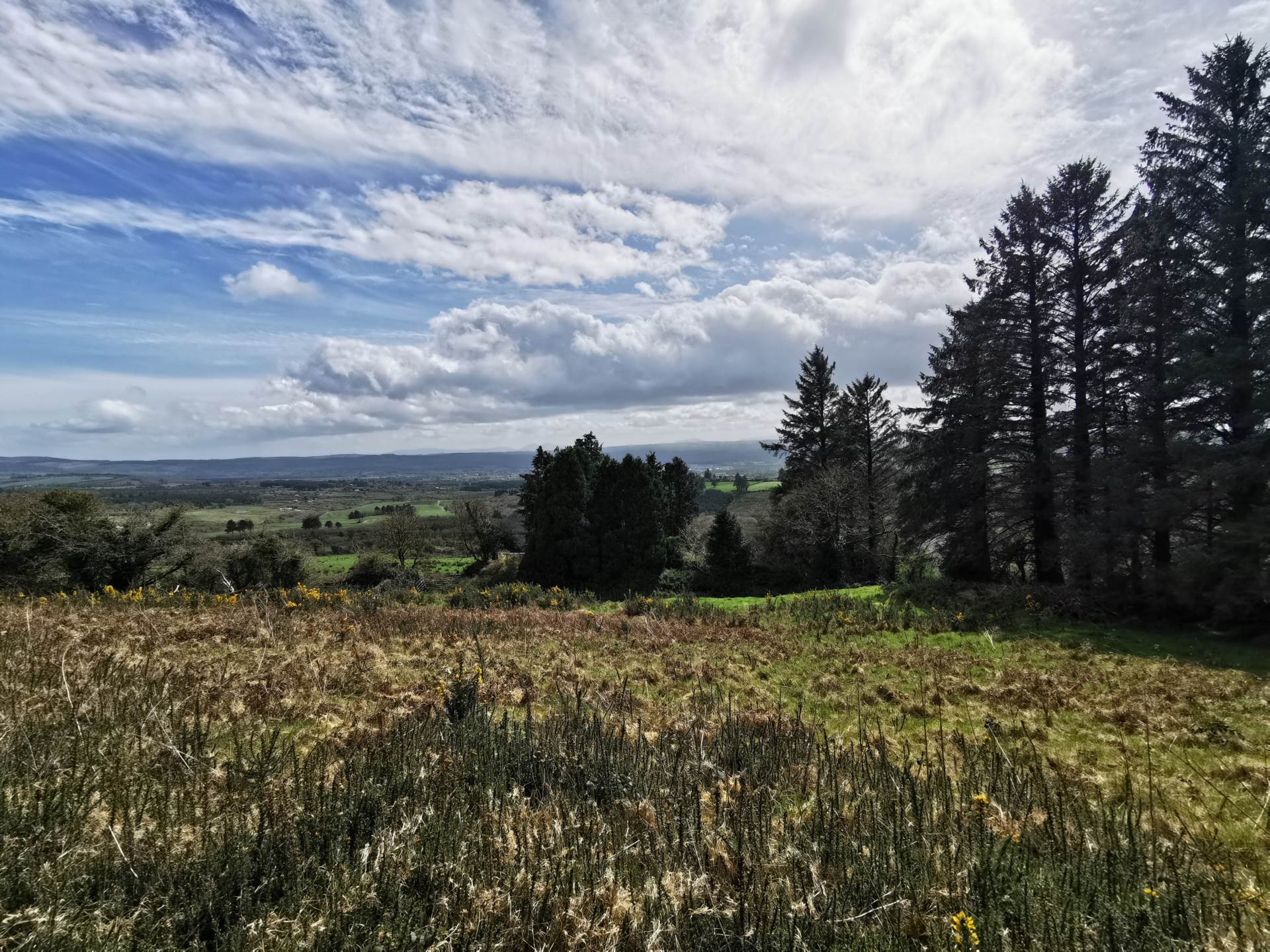 Tullagubbeen, Castleisland, Co. Kerry Tullagubbeen, Castleisland, Co. Kerry