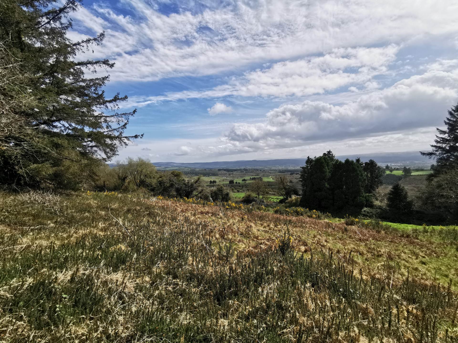 Tullagubbeen, Castleisland, Co. Kerry Tullagubbeen, Castleisland, Co. Kerry