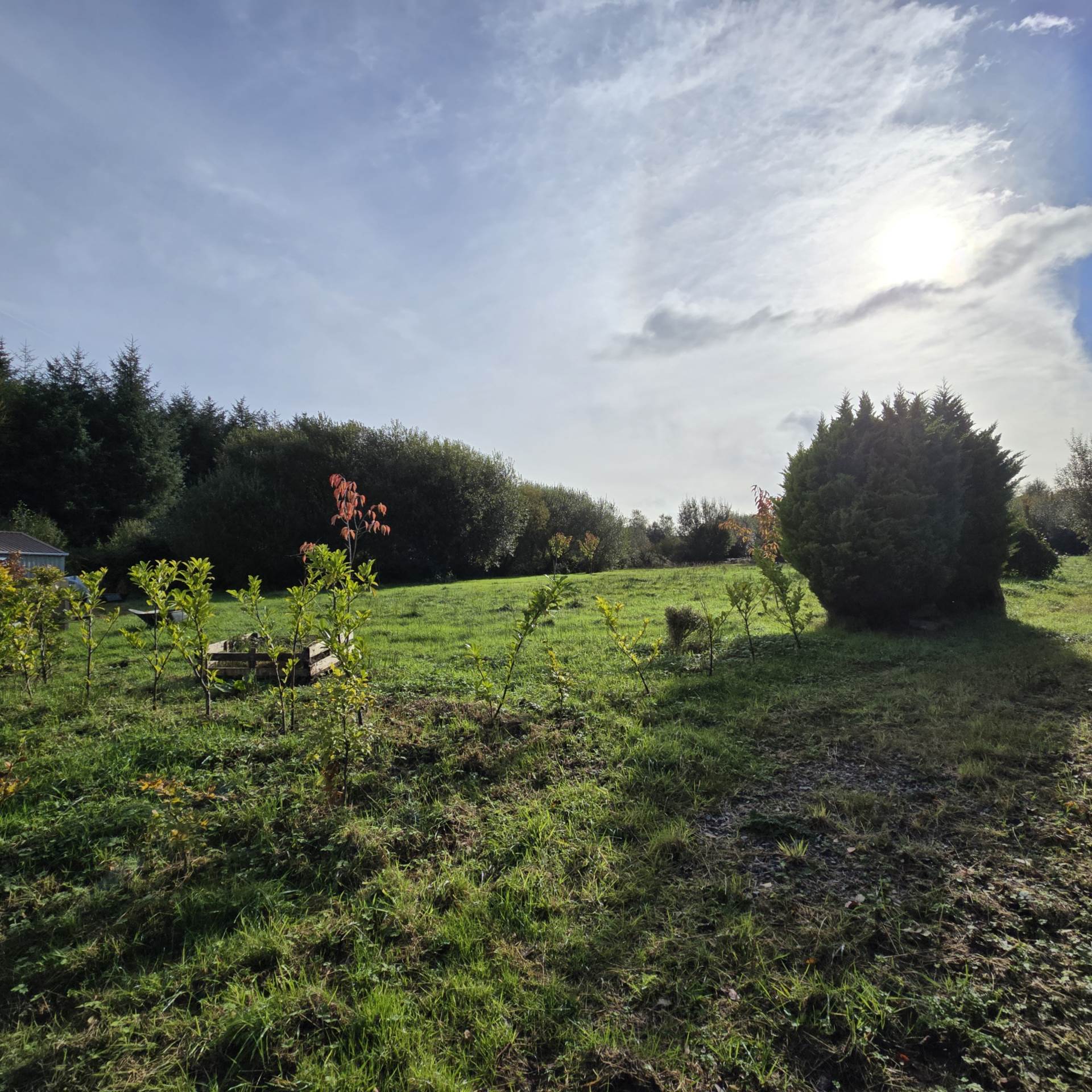 Scrahan, Cordal, Castleisland V92 W6PX, V92 W6PX Scrahan, Cordal, Castleisland V92 W6PX, V92 W6PX