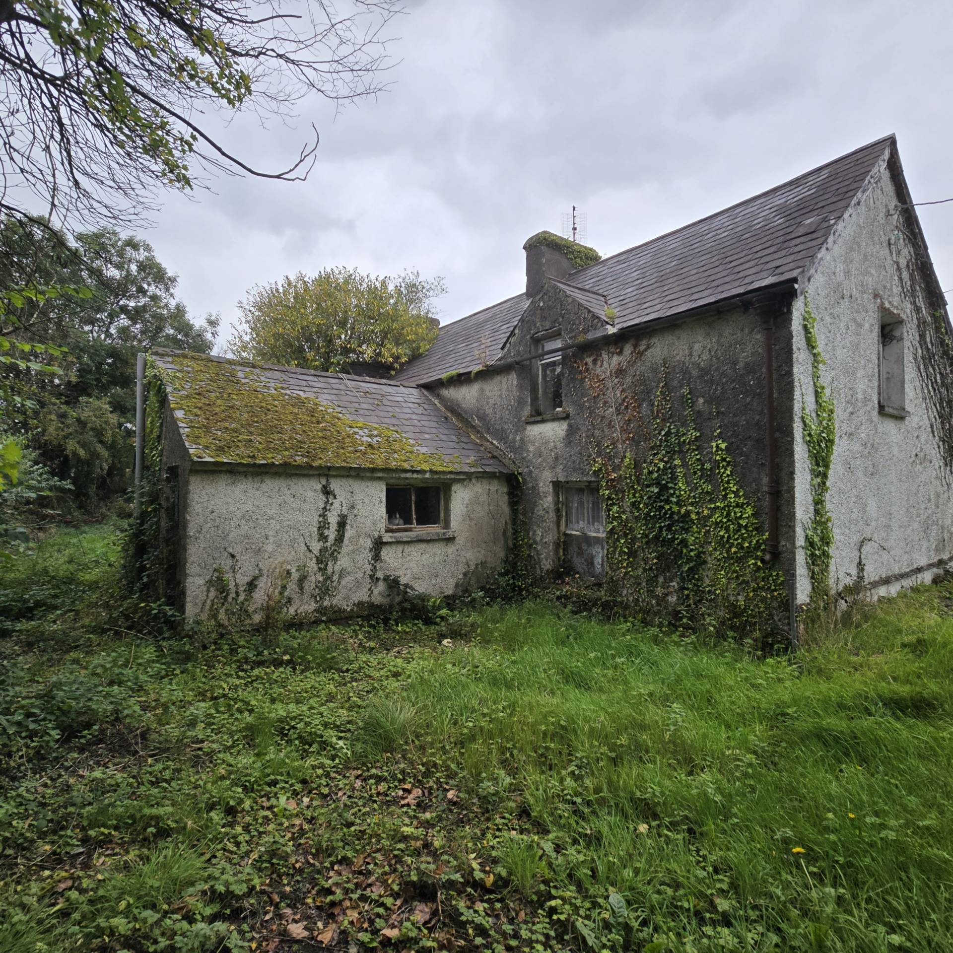 Tobermaing, Castleisland, Co. Kerry V92 E8D4 Tobermaing, Castleisland, Co. Kerry V92 E8D4